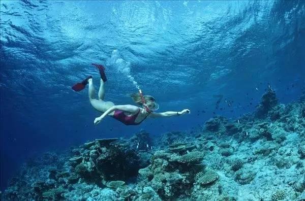 过滤器滤芯完整性测试仪